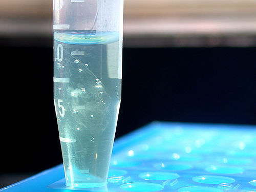 DNA Isolation