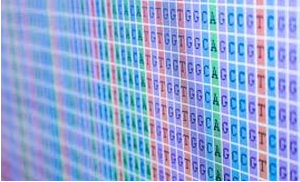 DNA Sequencing